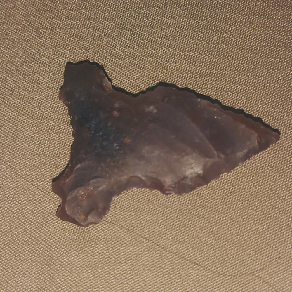 nimbleclep.bsky.social's profile picture