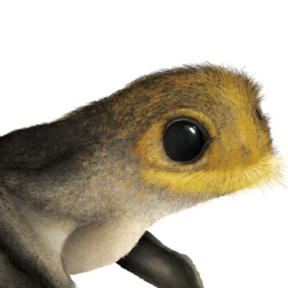 cptha86.bsky.social's profile picture