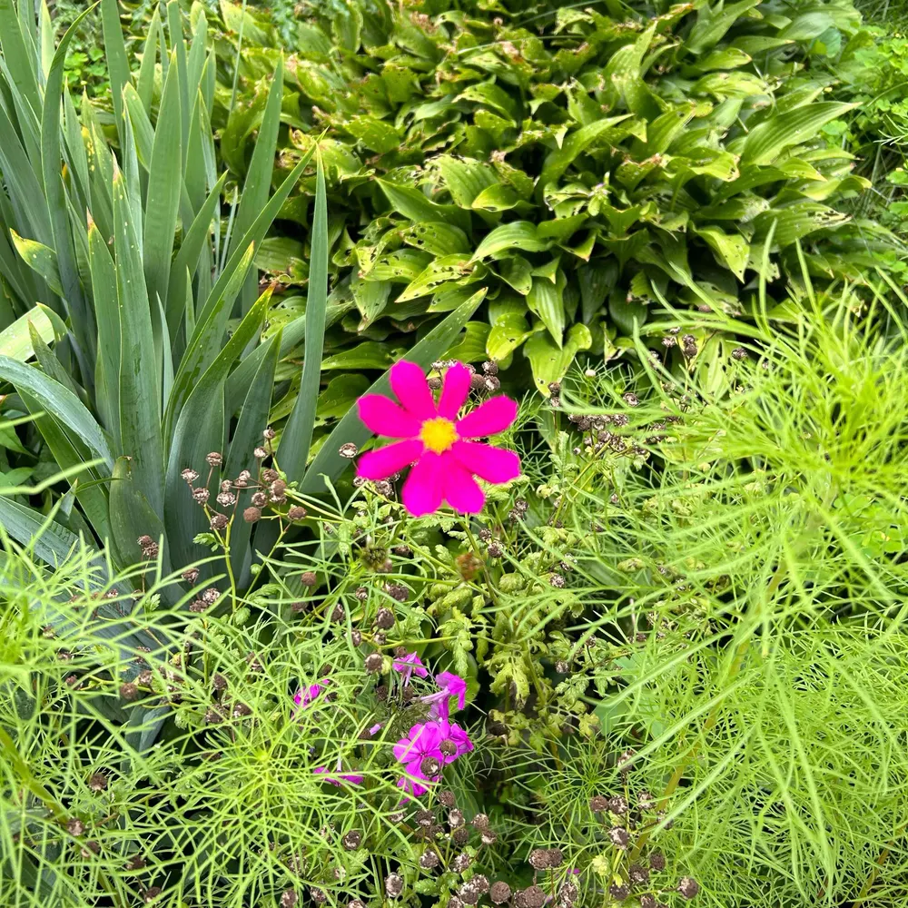 msz0.bsky.social's profile picture