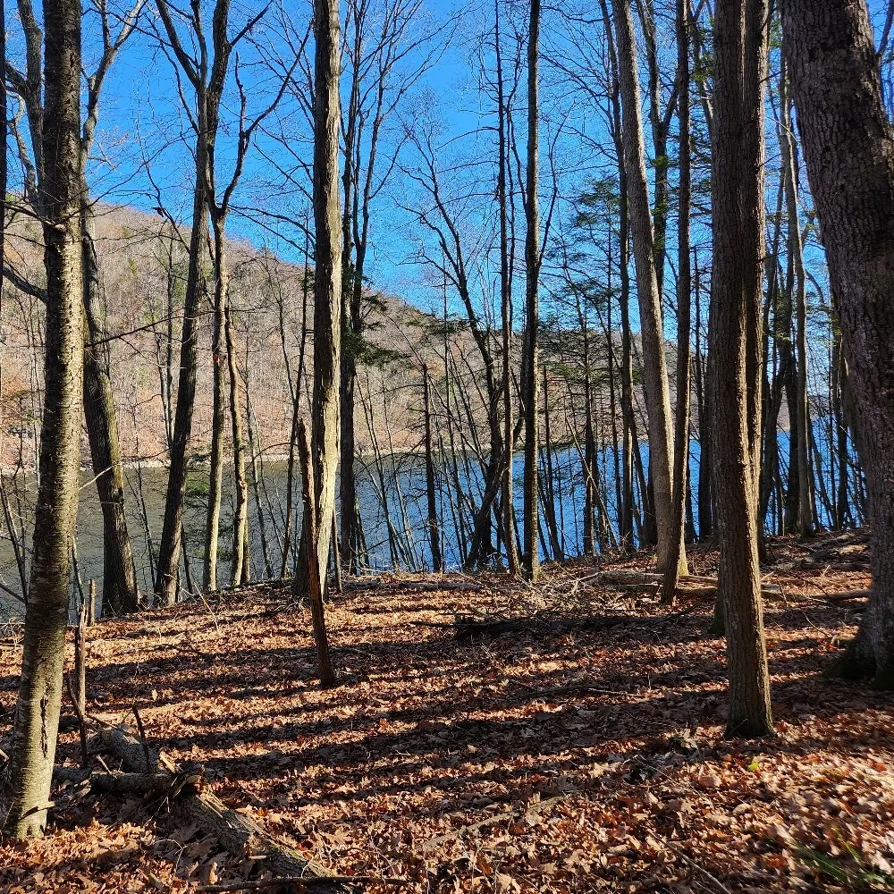 feelingblue53.bsky.social's profile picture