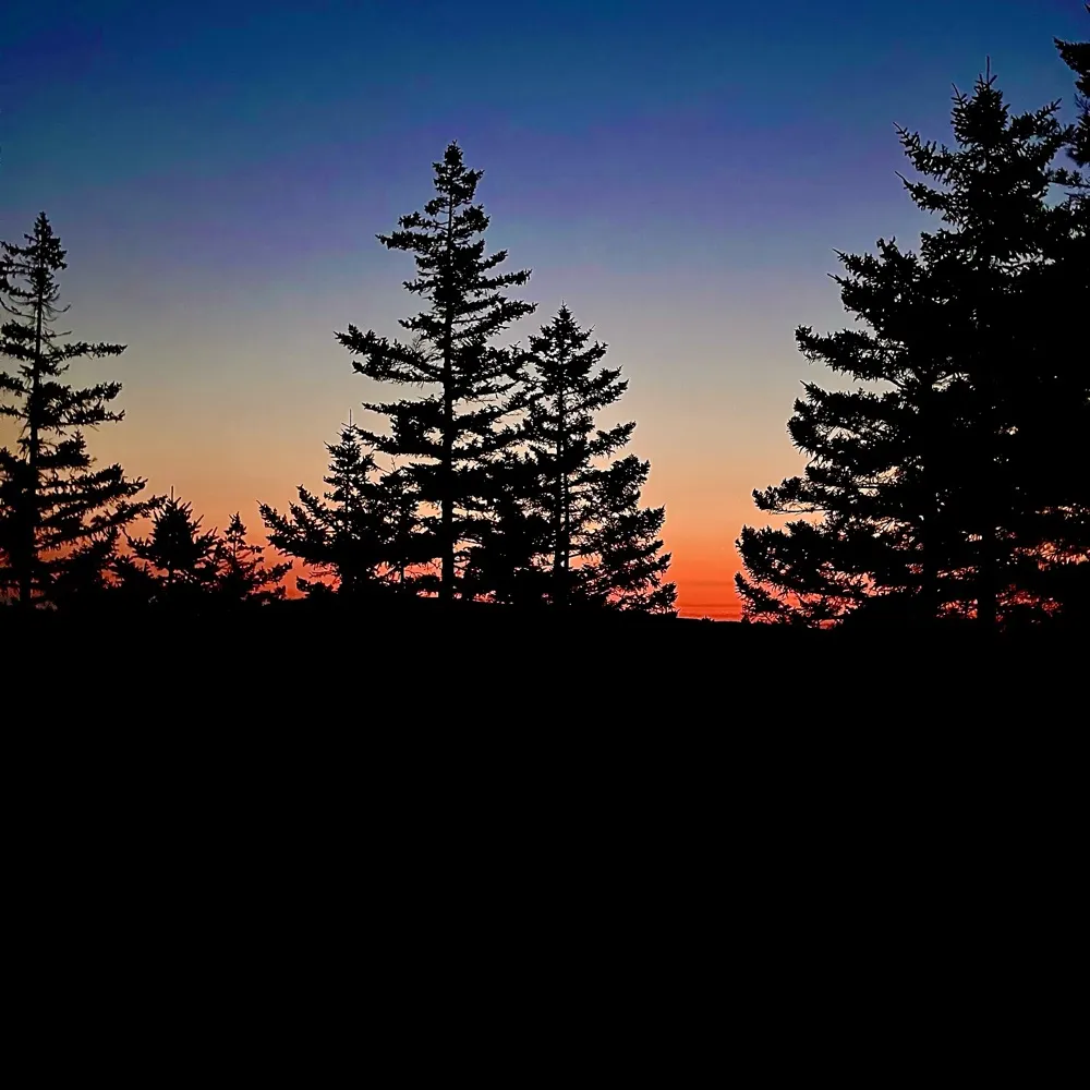 bluwatertom.bsky.social's profile picture