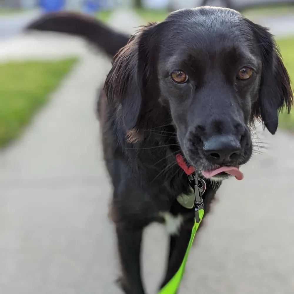 jckapp.bsky.social's profile picture