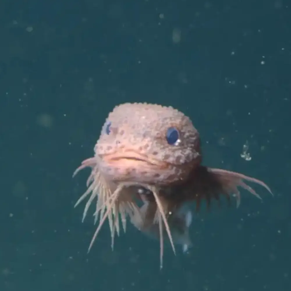 often.codes's profile picture