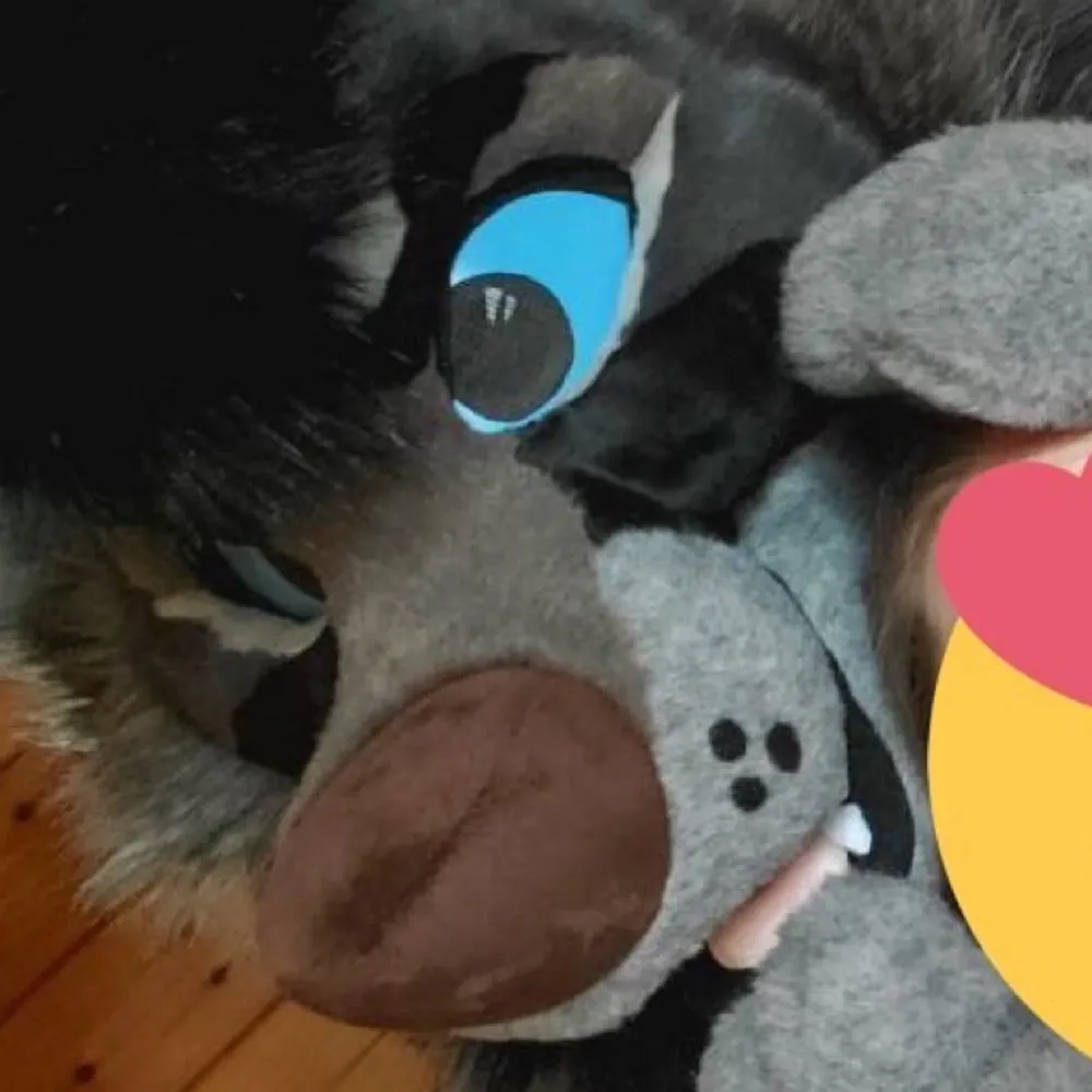 madebypaws.bsky.social's profile picture