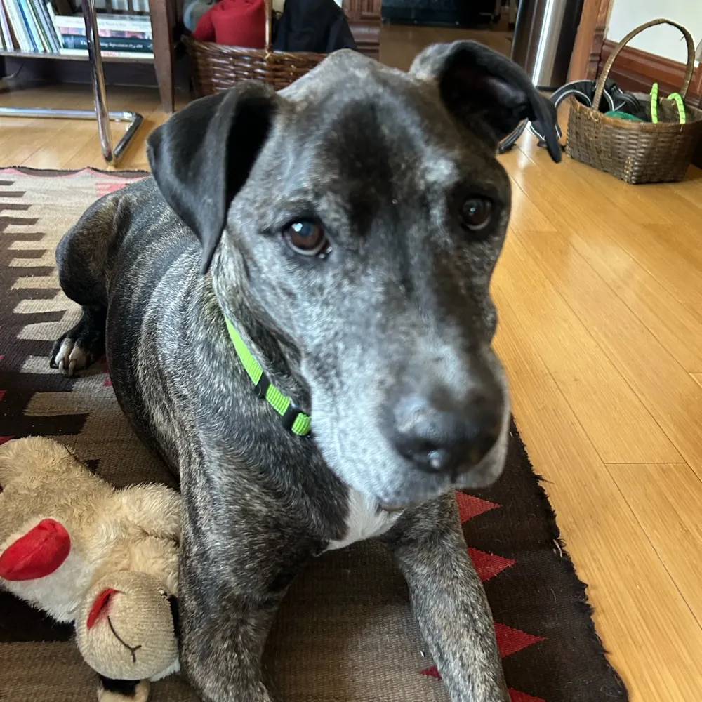 by-mhrudolph.bsky.social's profile picture