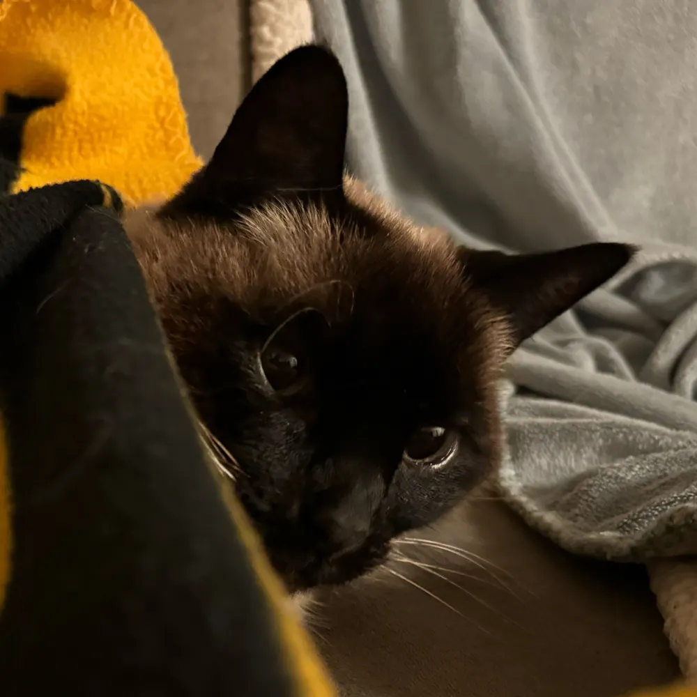 sesernana.bsky.social's profile picture