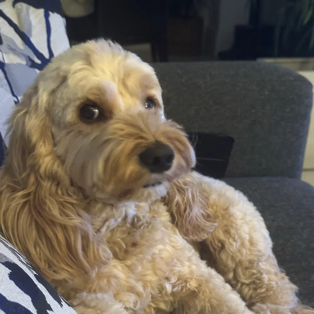 annmb48.bsky.social's profile picture