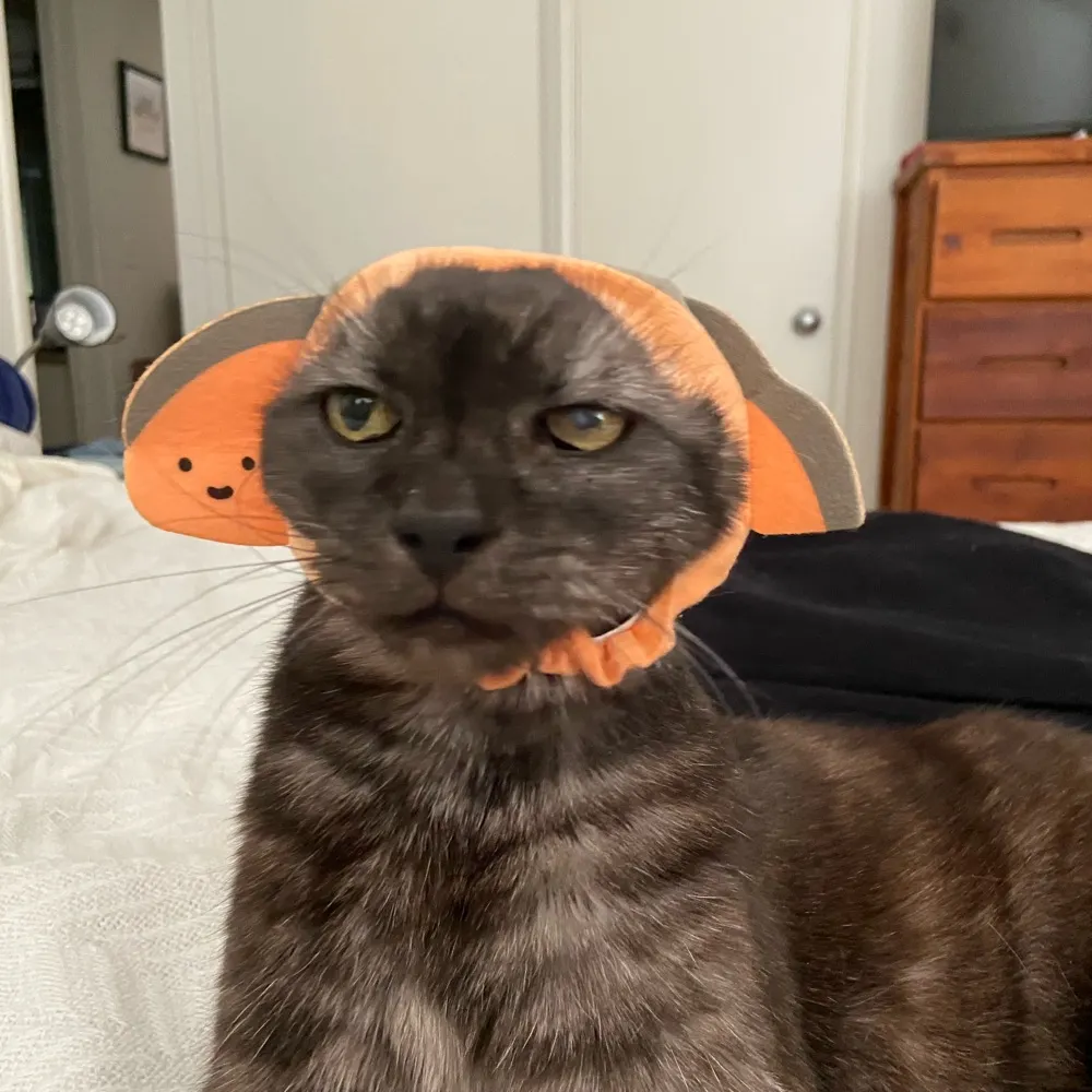 izandra.bsky.social's profile picture