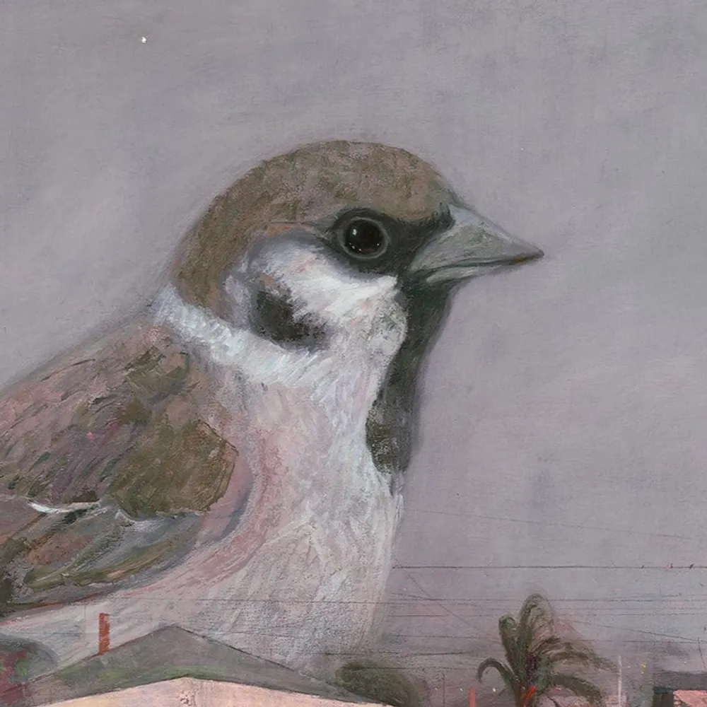 sirosenbaum.bsky.social's profile picture