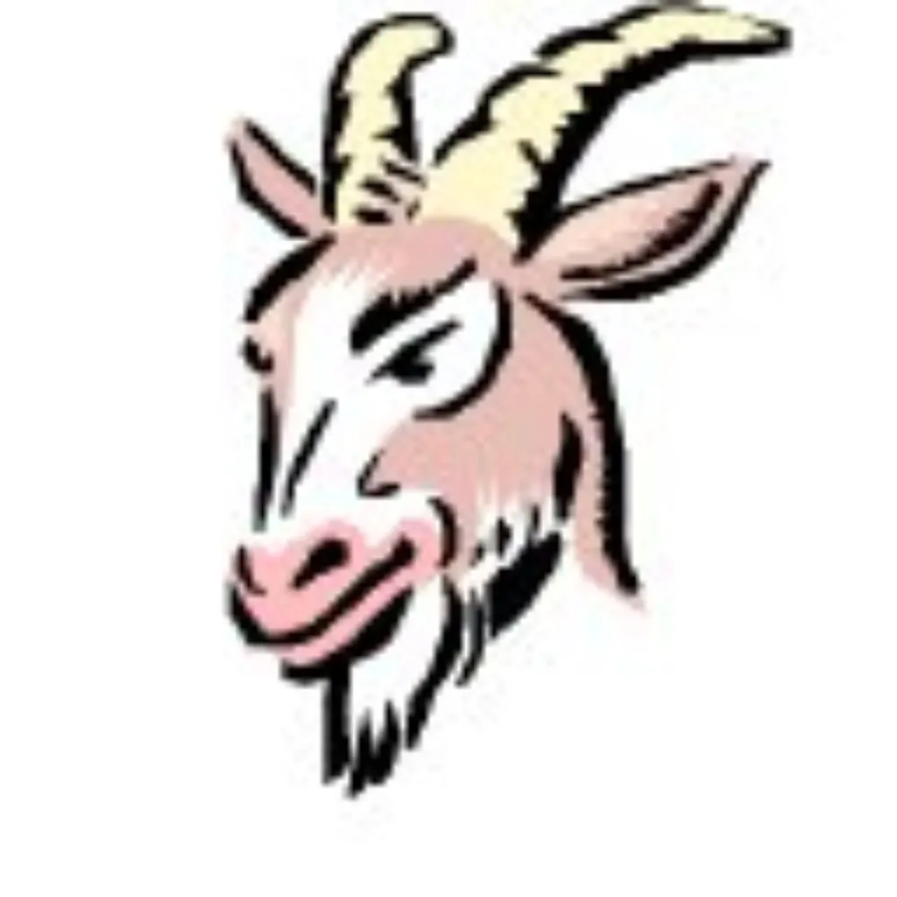 boingthegoat.bsky.social's profile picture