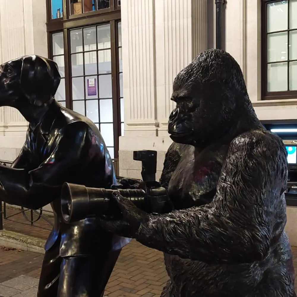 mikel-snapper.bsky.social's profile picture