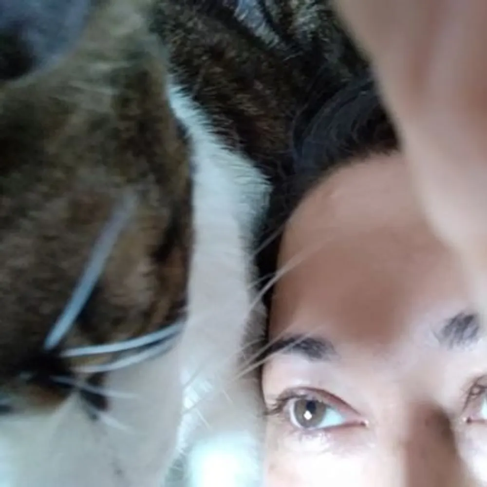 topoesfera.aldea.social's profile picture