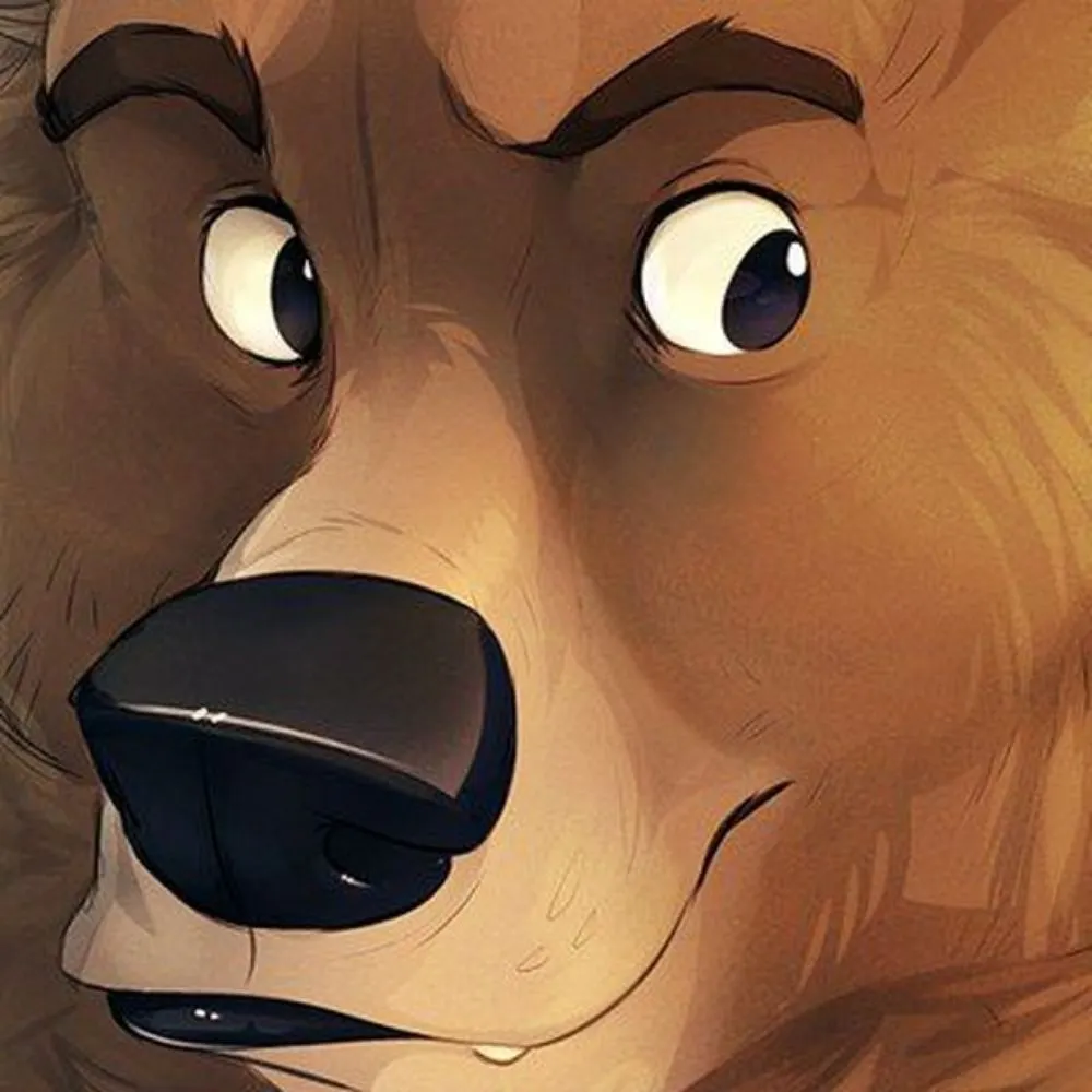 kodiakmoments.net's profile picture