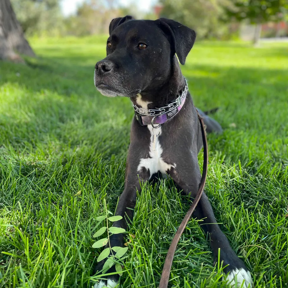 kbernstein.bsky.social's profile picture