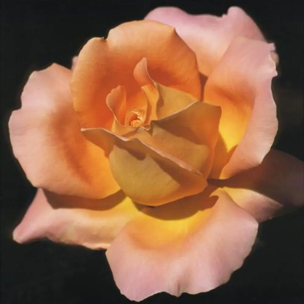 idledays555.bsky.social's profile picture