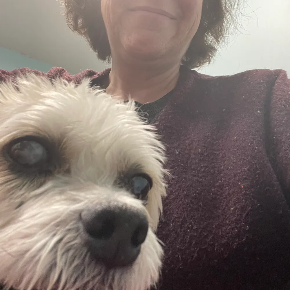 jocie8273.bsky.social's profile picture