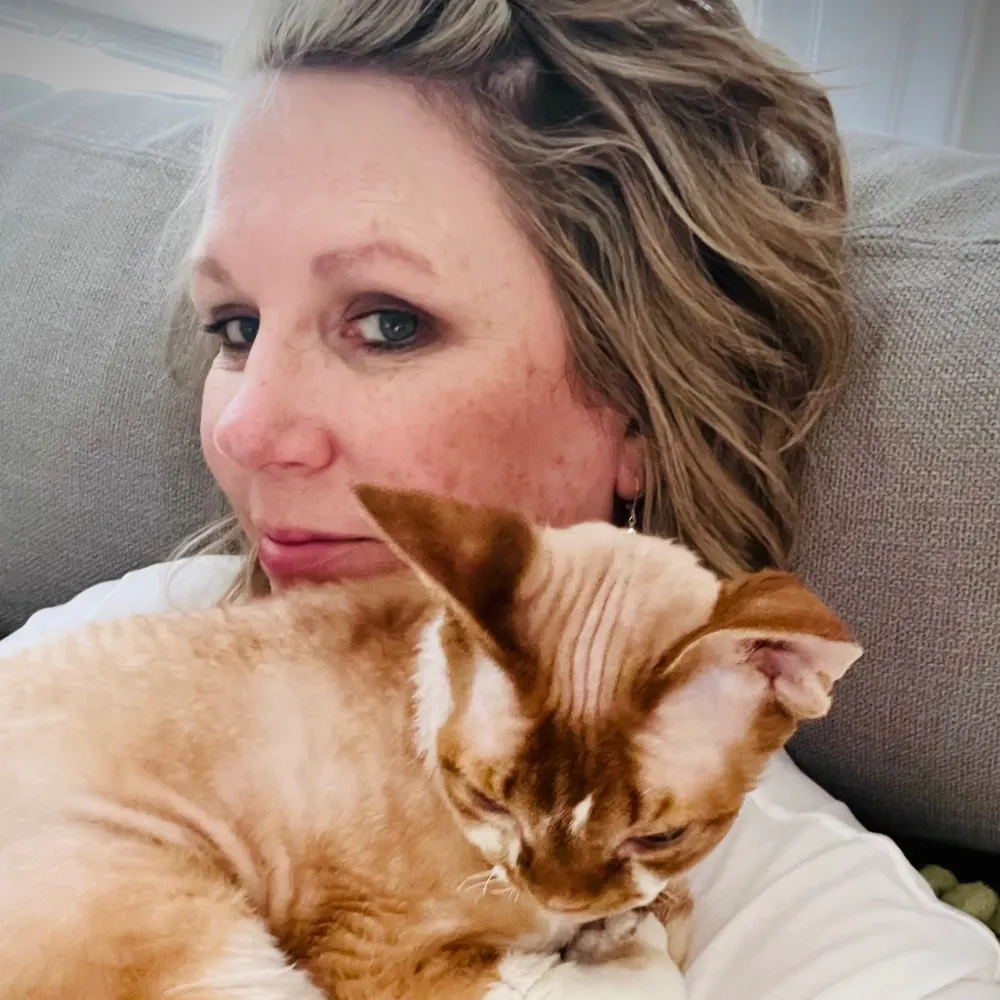 sjsmile.bsky.social's profile picture