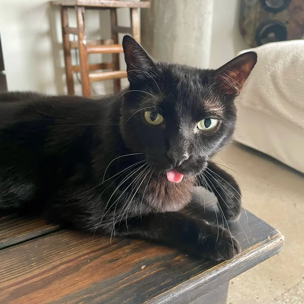 barmath.bsky.social's profile picture