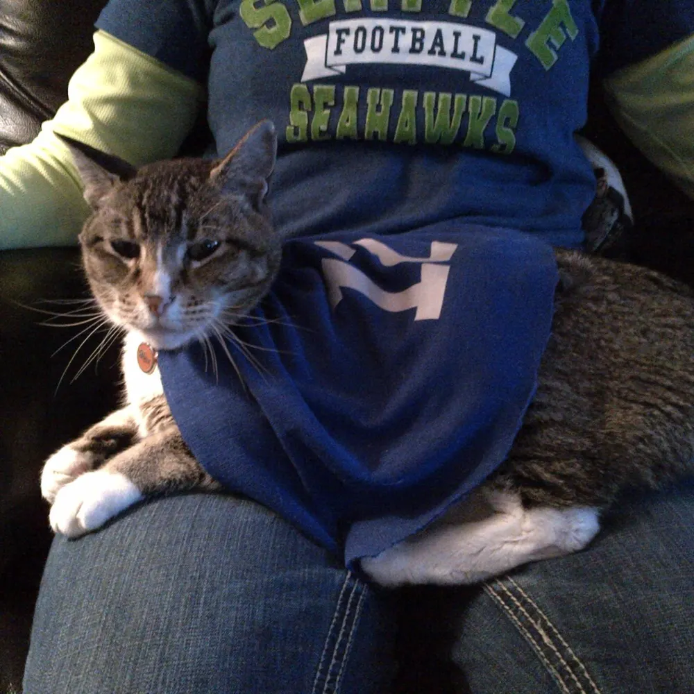 pnwforever.bsky.social's profile picture