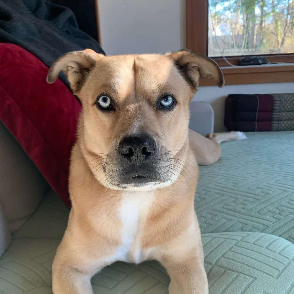 rscottp.bsky.social's profile picture