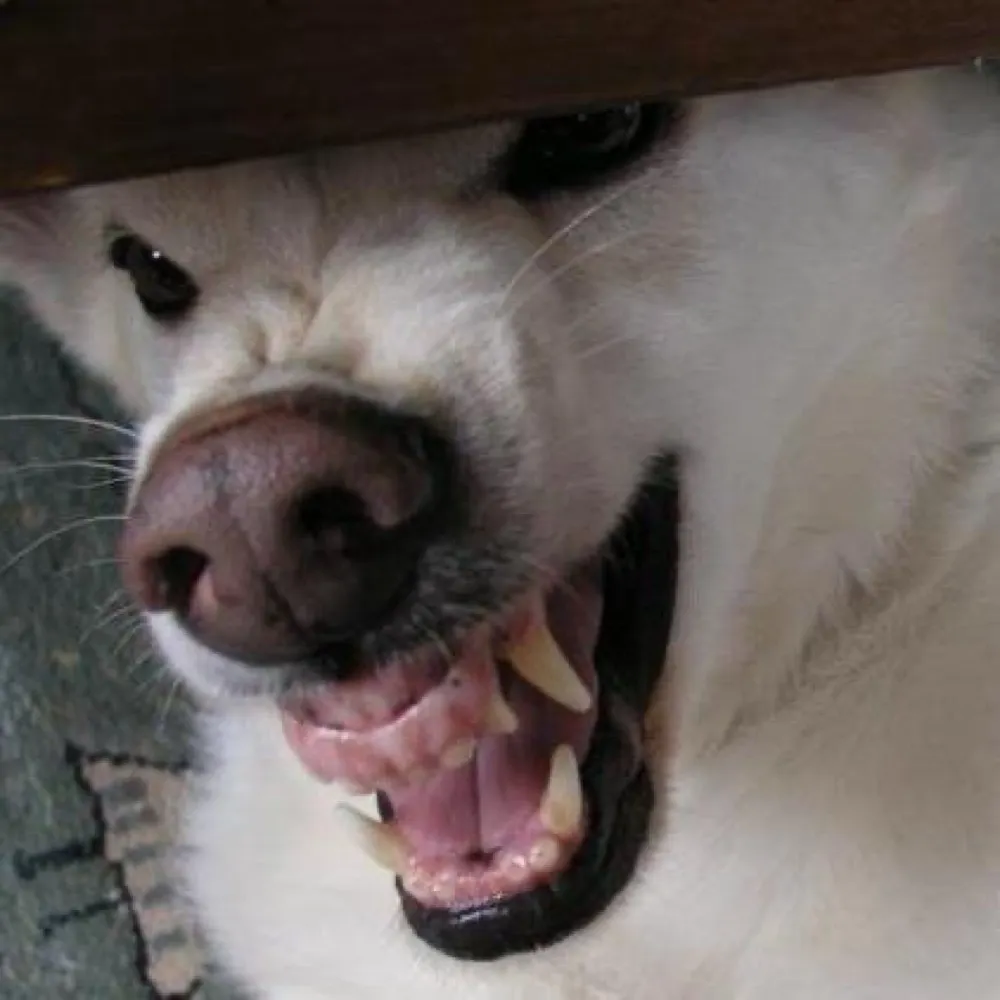 mtb-gal.bsky.social's profile picture