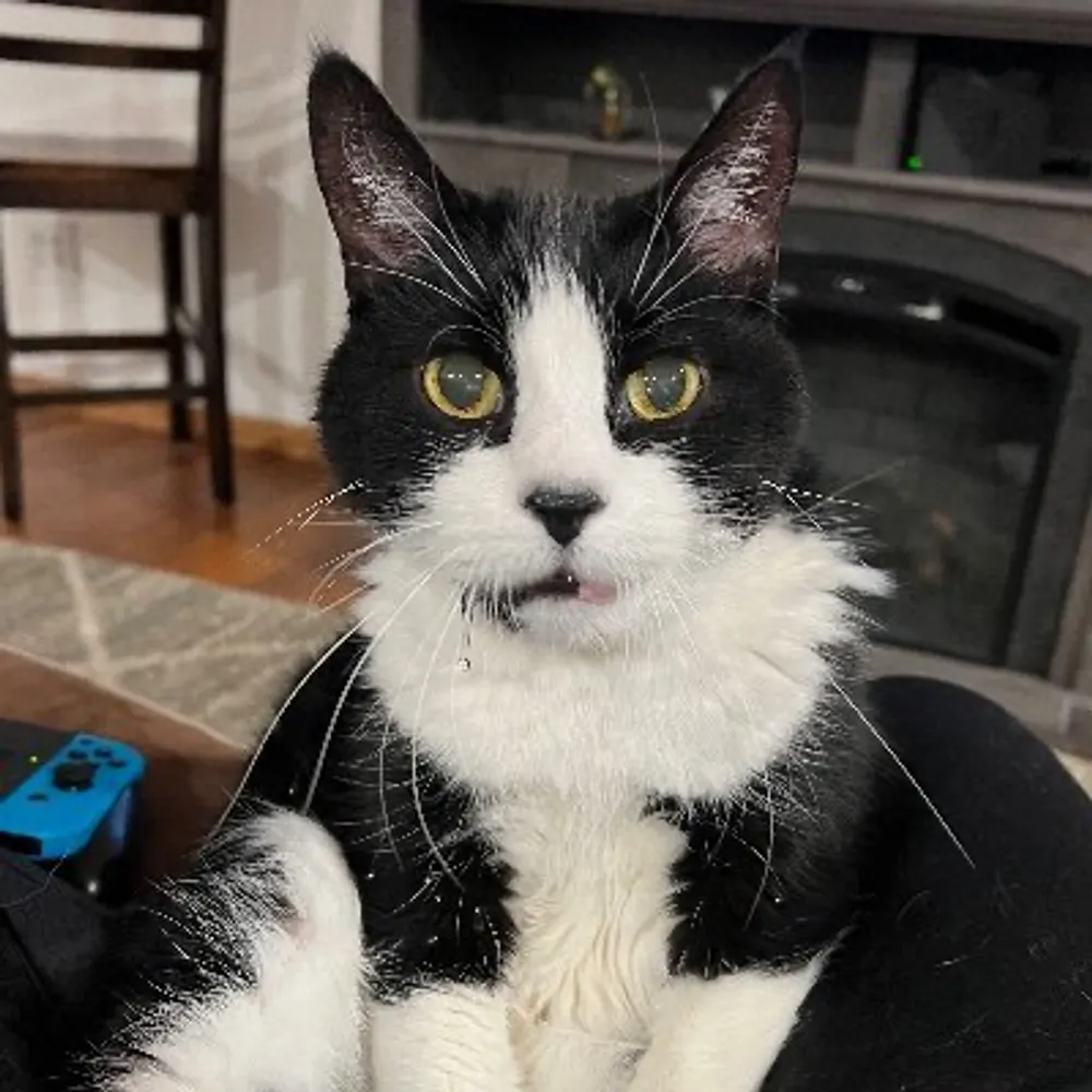 kadoty32.bsky.social's profile picture