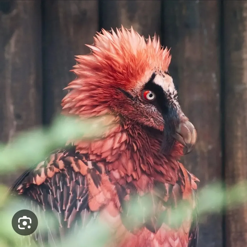 over-9.bsky.social's profile picture