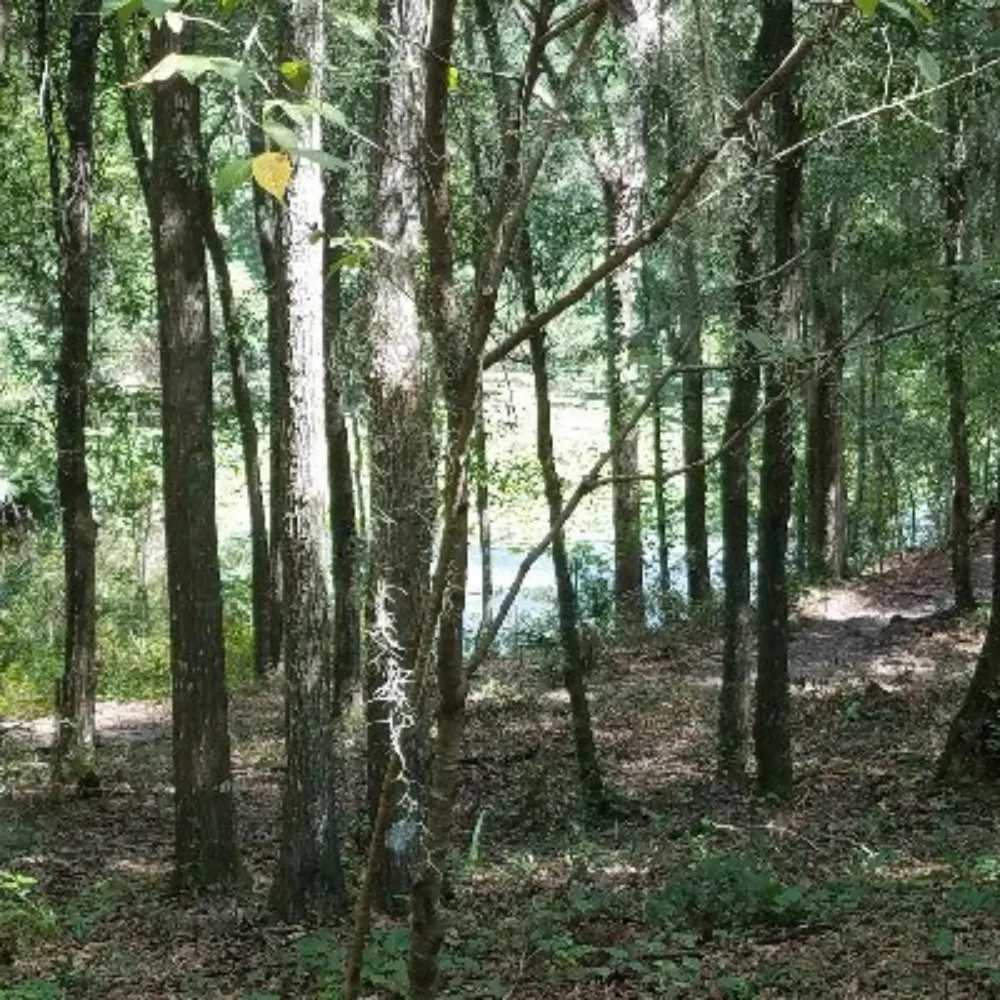 twinscales.bsky.social's profile picture