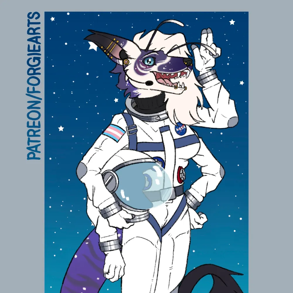 digitaldook.bsky.social's profile picture