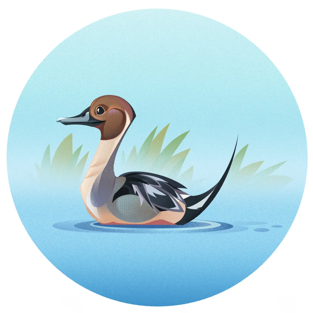 kimmiser.bsky.social's profile picture