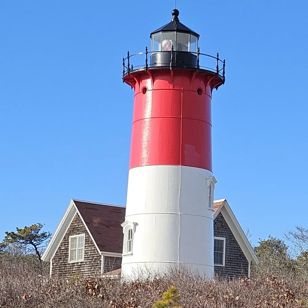 thrasher62.bsky.social's profile picture