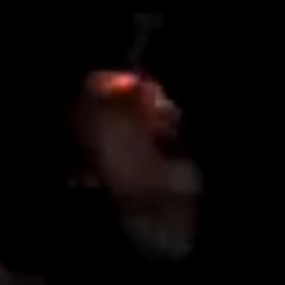 flibones.bsky.social's profile picture