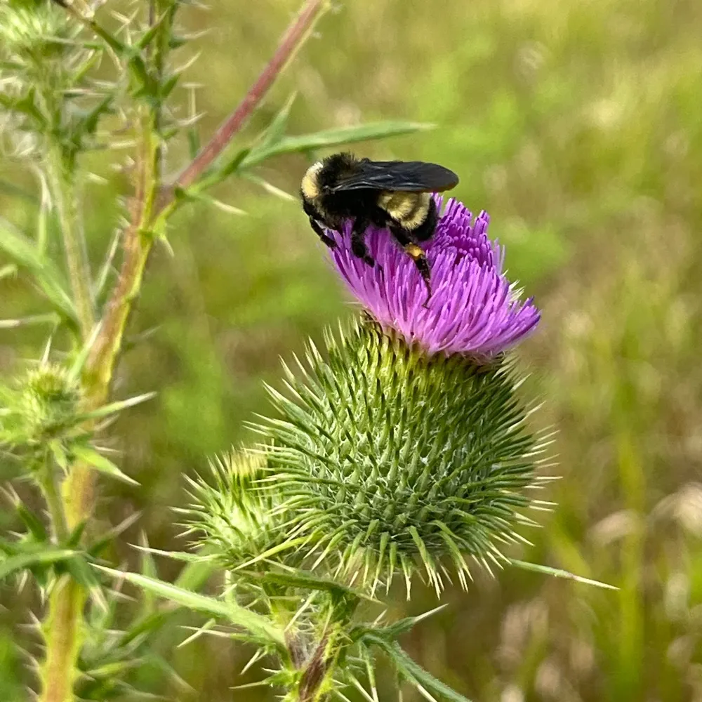 safexxi.bsky.social's profile picture