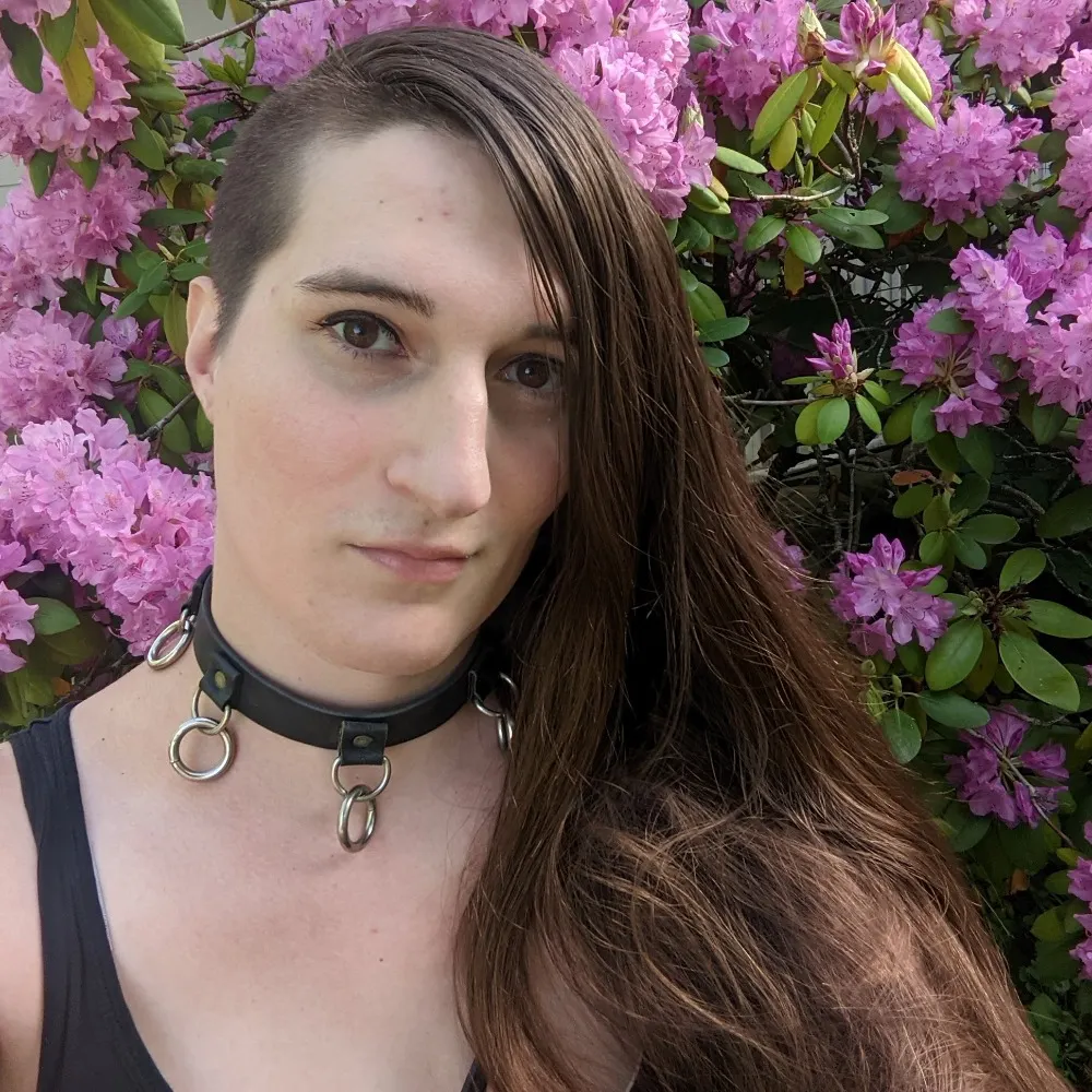 testdevice.bsky.social's profile picture