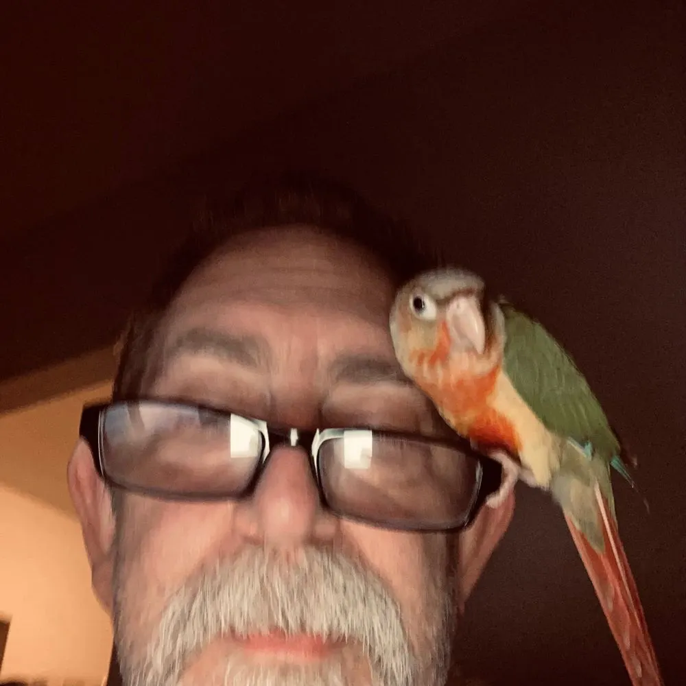 rono64comics.bsky.social's profile picture