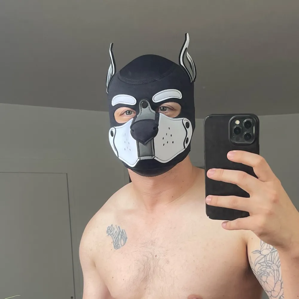 pup-dart.bsky.social's profile picture