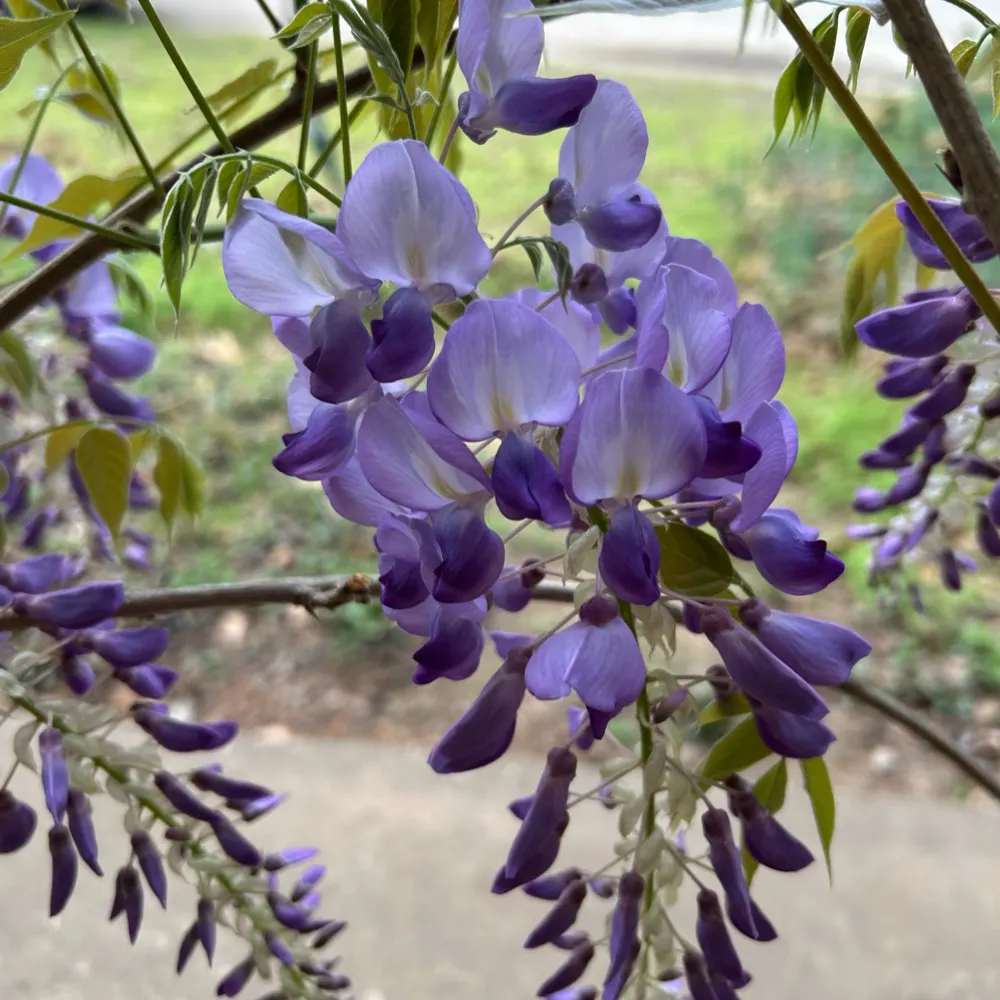 fedtfupofthemall.bsky.social's profile picture