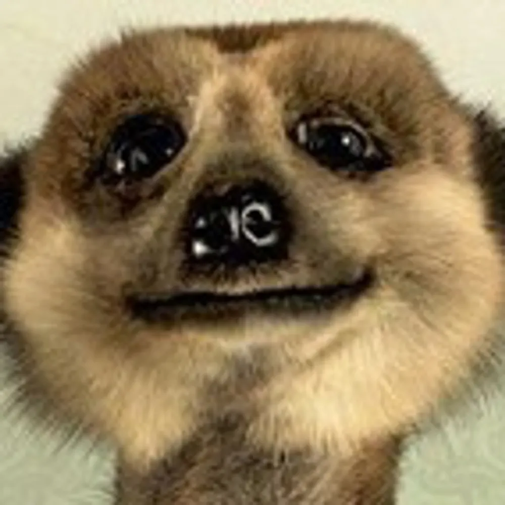 se3ek.mastodon.online.ap.brid.gy's profile picture