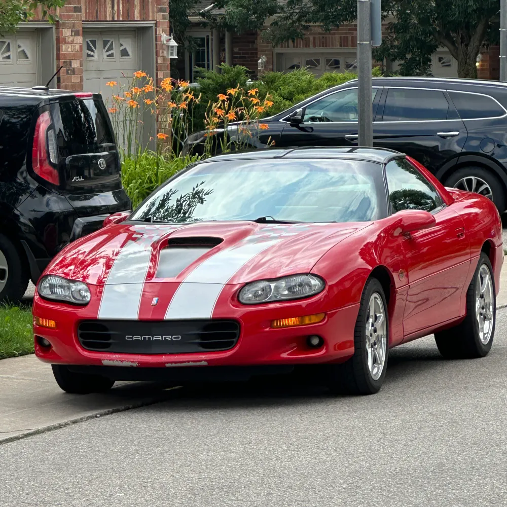 veinz.bsky.social's profile picture