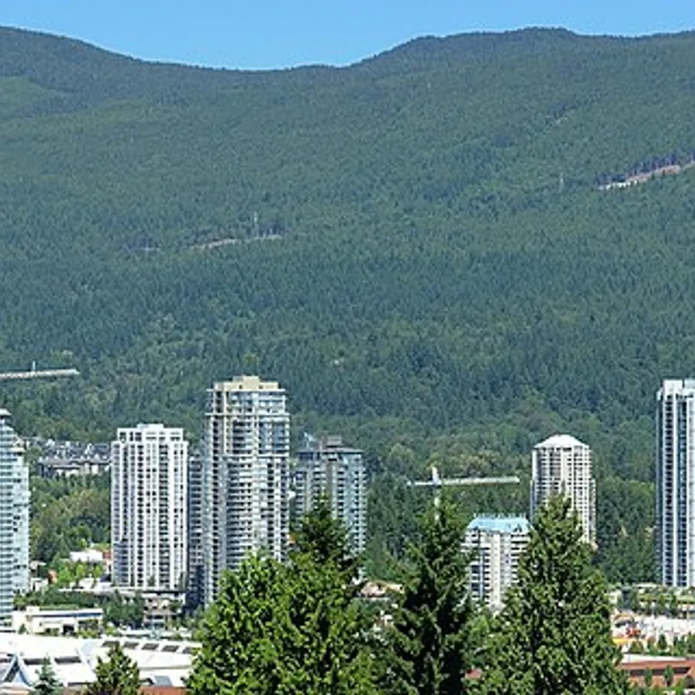 jean-b-anderson.bsky.social's profile picture