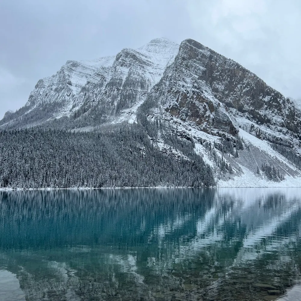 cal90125.bsky.social's profile picture