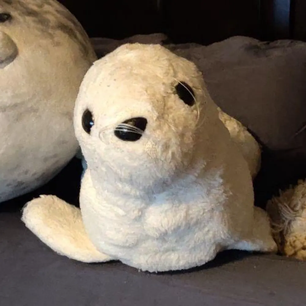 hermietseal.bsky.social's profile picture