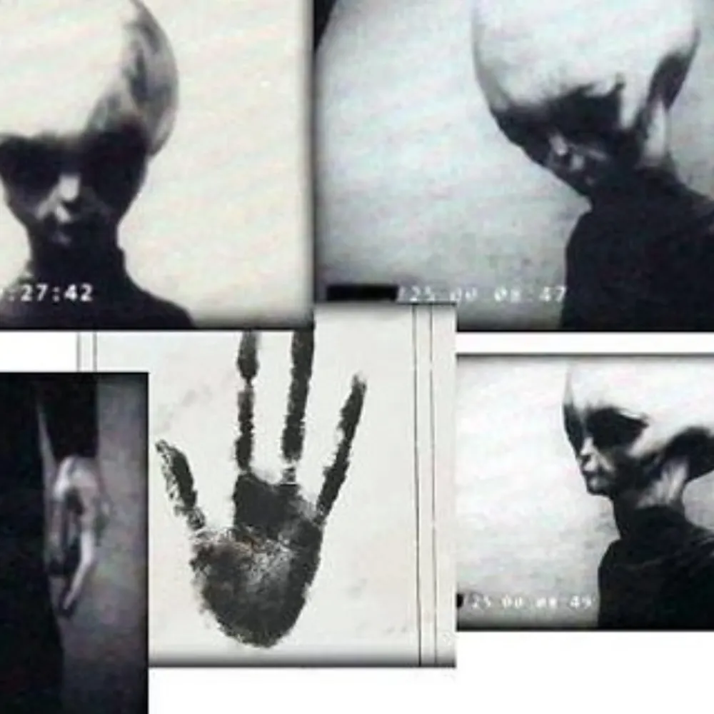 notsure75964.bsky.social's profile picture