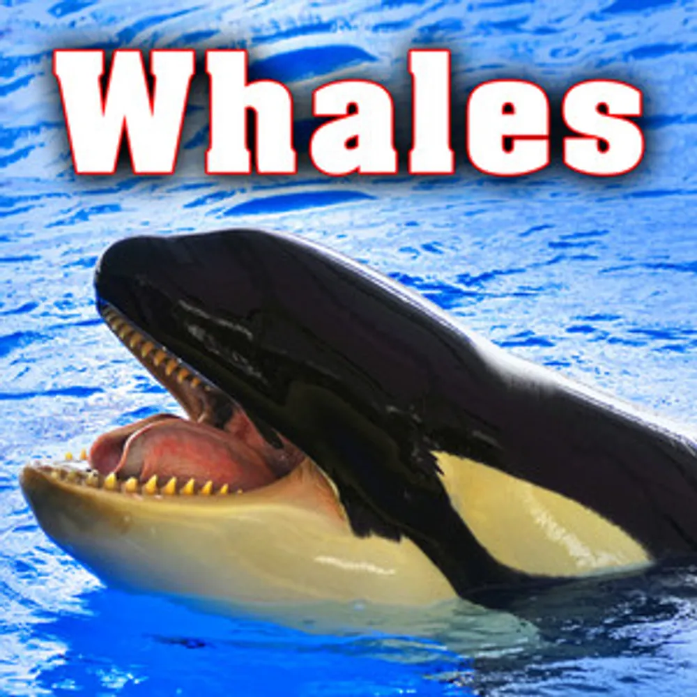 whalepsychiatrist.bsky.social's profile picture