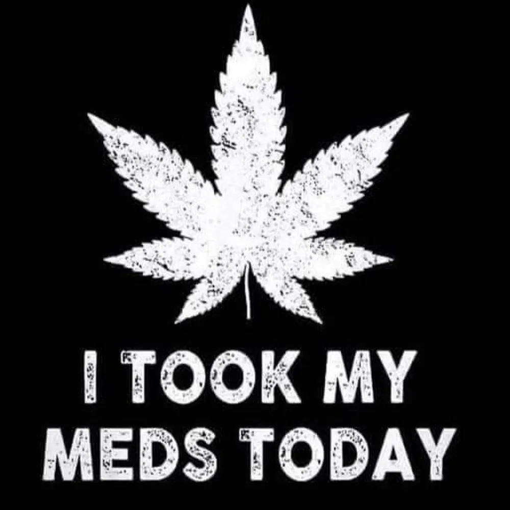 merlek.bsky.social's profile picture