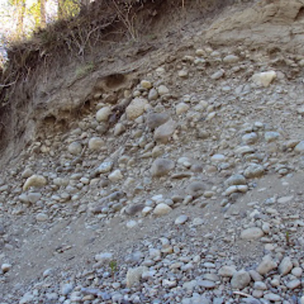 wasilla.bsky.social's profile picture