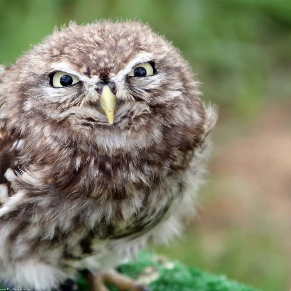 michaeljohnmorris.bsky.social's profile picture