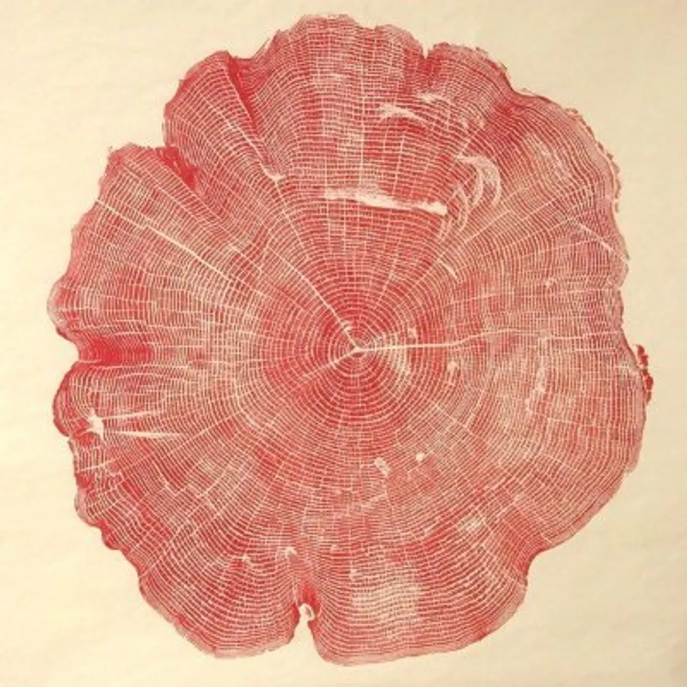 ourmarble1.bsky.social's profile picture