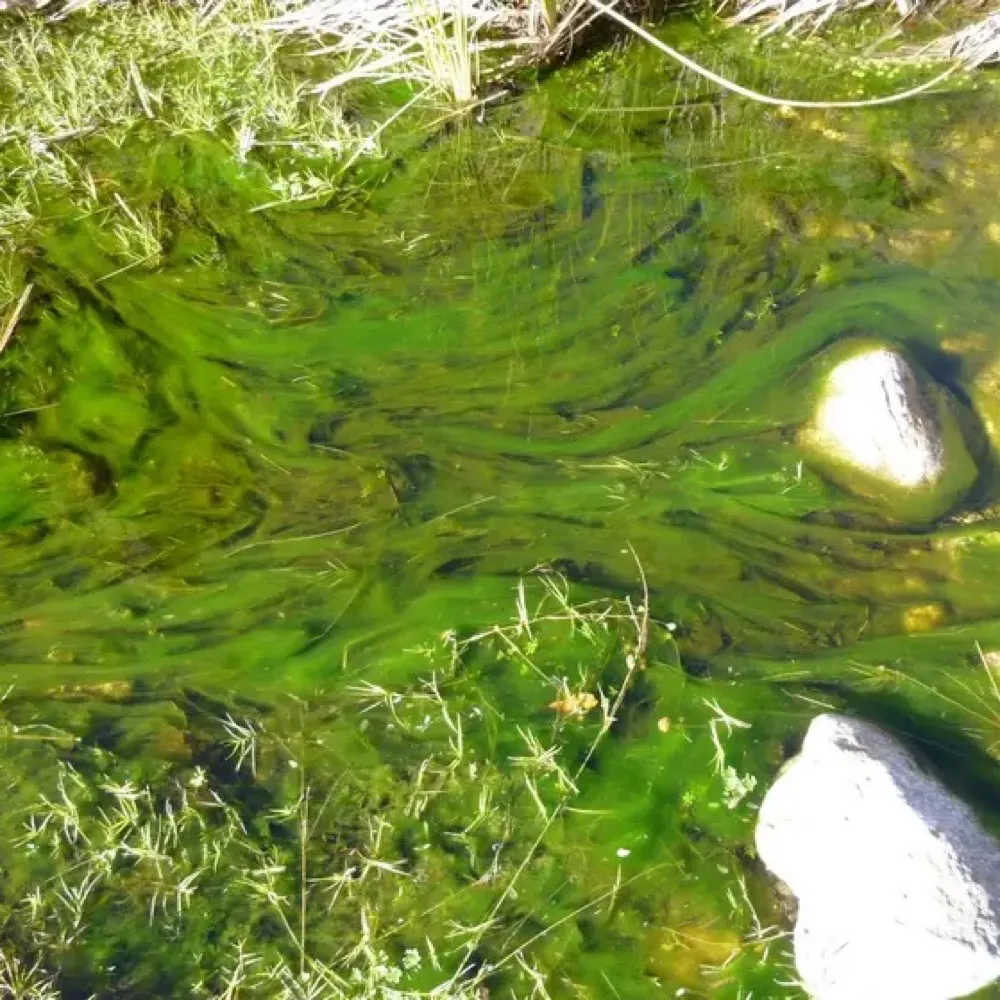 quant.bsky.social's profile picture