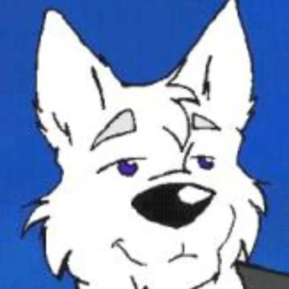 stilghar.bsky.social's profile picture